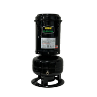 A1-C-02-SD Klenow A-2440 Model (Manual Control)